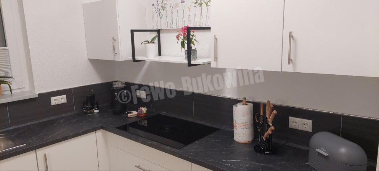 Fewo Bukowina Waldshut-Tiengen Bagian luar foto