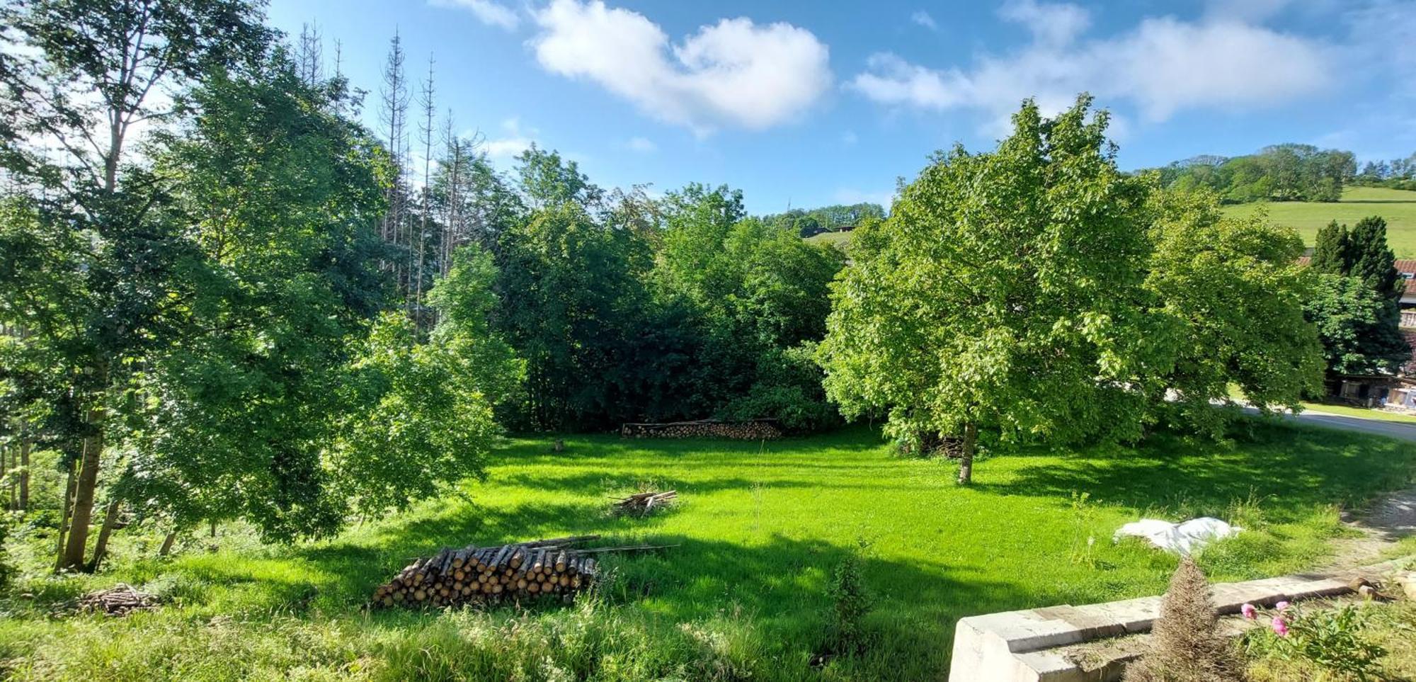 Fewo Bukowina Waldshut-Tiengen Bagian luar foto